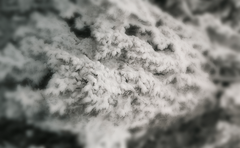 My very first log&nbsp;…